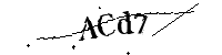 请输入验证码